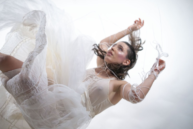 Alicia nurho Lumen Novum