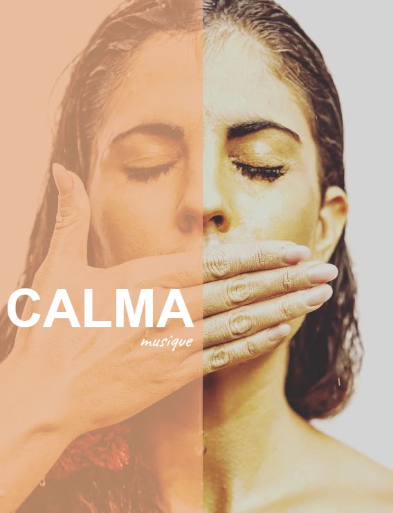 Calma 26 9