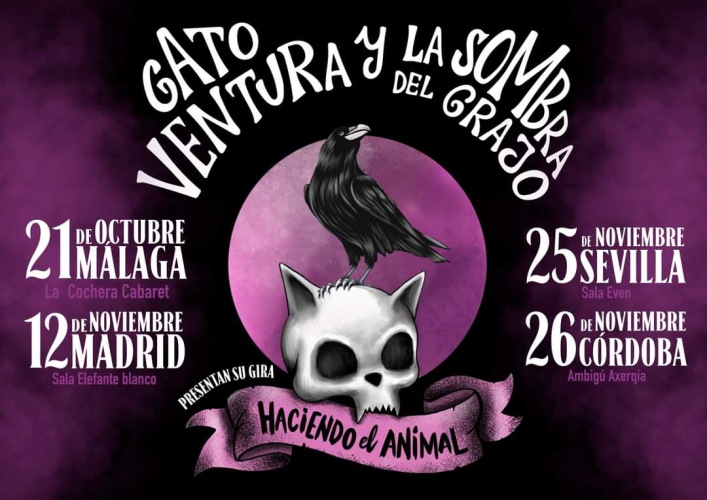 Gato ventura 8 10