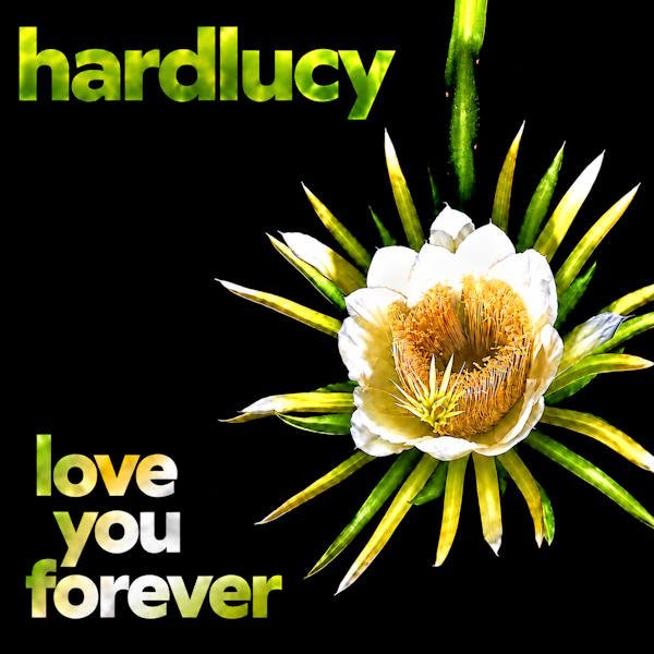 Hardlucy estrena "Love You Forever", un nuevo single que invita a reflexionar a través de la música