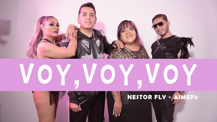 NESTOR FLY 1