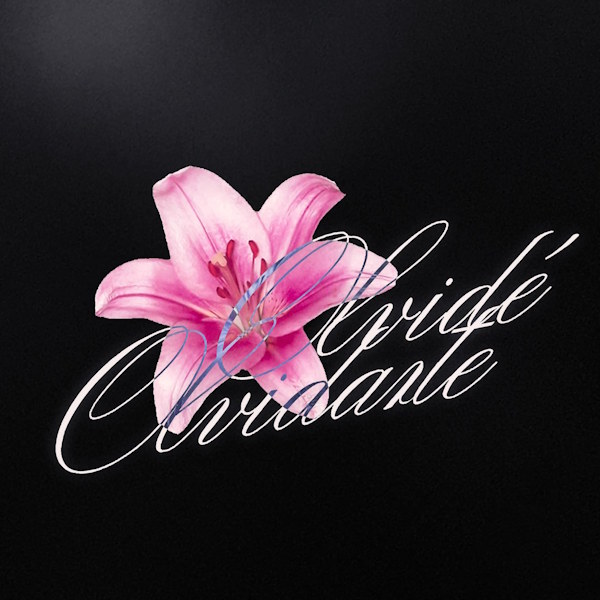 PORTADA OLVIDEOLVIDARTE