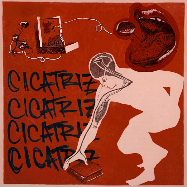 Tapa Cicatriz Remix ft. Lizi Lay