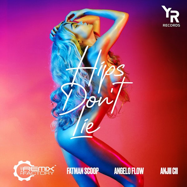 The Remix Factory hips dont lie album cover