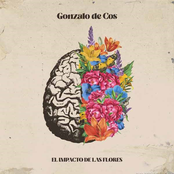 gonzalodecos lpimpacto